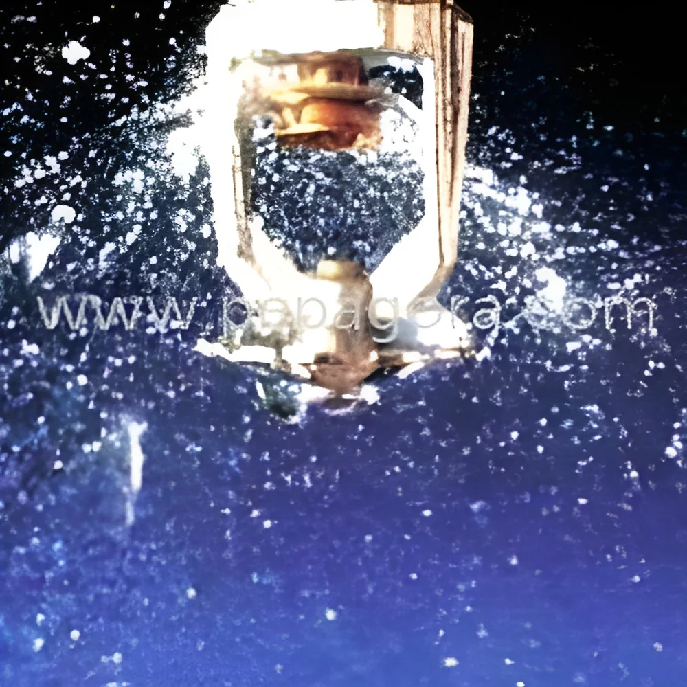 product-image-1