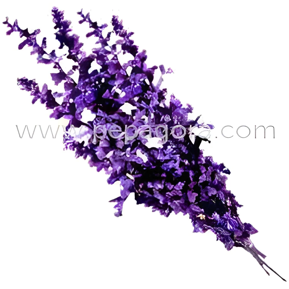 resizeImages/MTI5NzM=/mediabank/images/products/LavenderOil1212363756_12973.webp