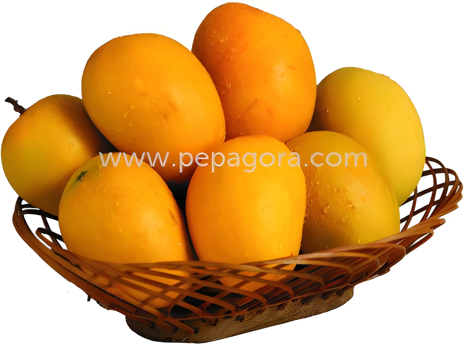 product-image-1