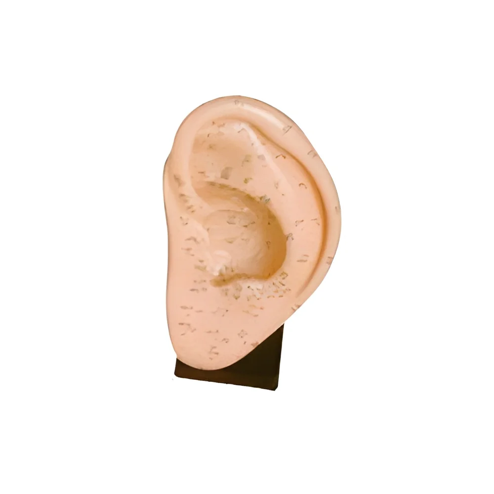 resizeImages/MTM1Mw==/mediabank/images/products/acupuncture-ear-moldel-250x250.webp