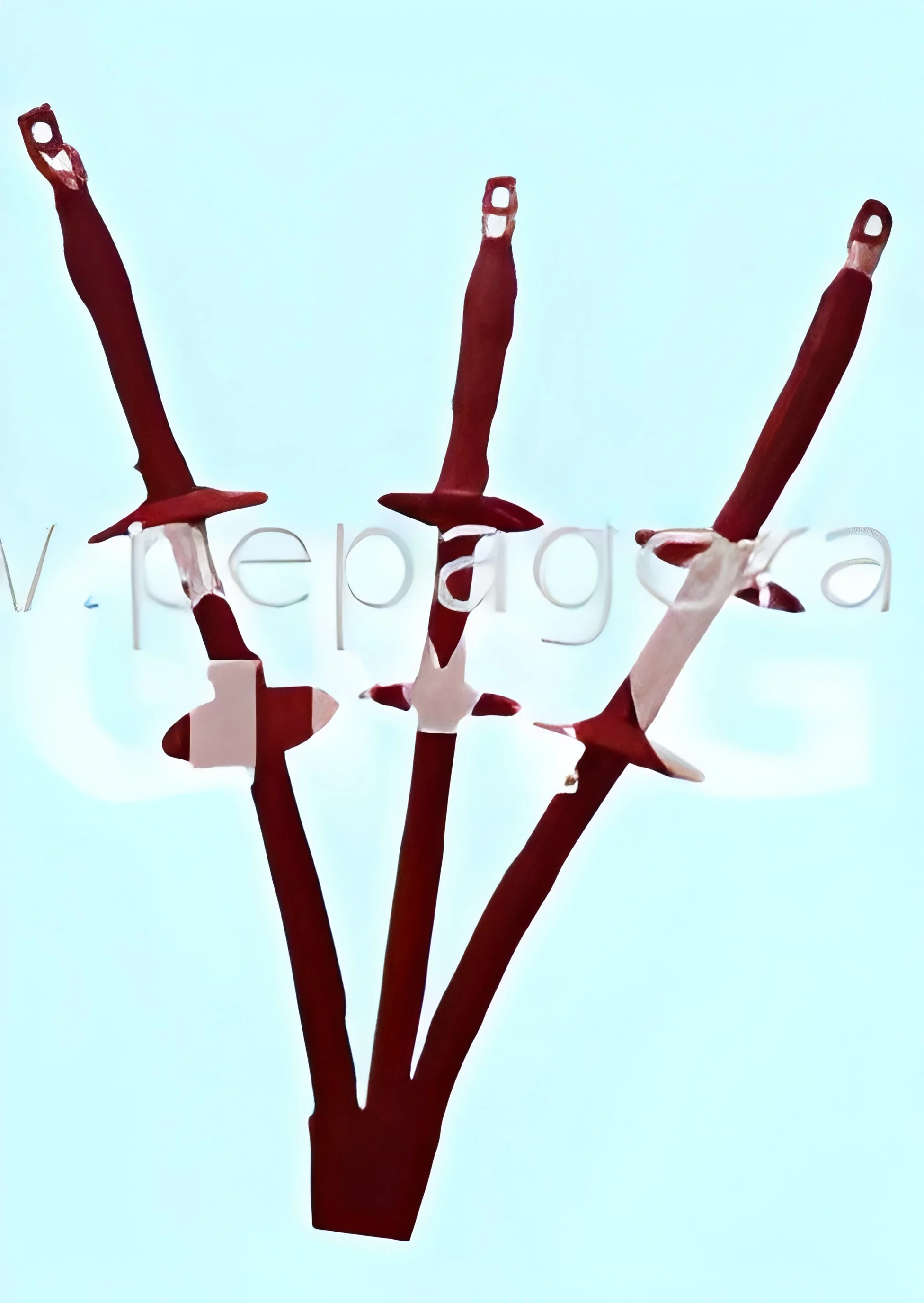 product-image-1