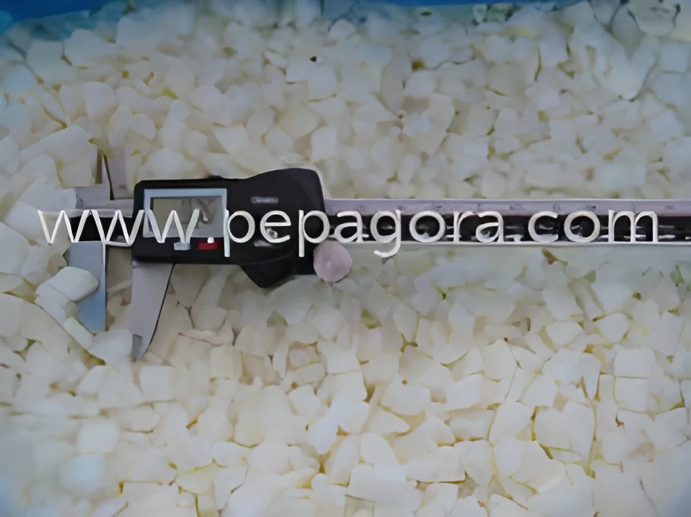 resizeImages/MTM2NzY=/mediabank/images/products/IQFOnionDices1441476580_13676.webp