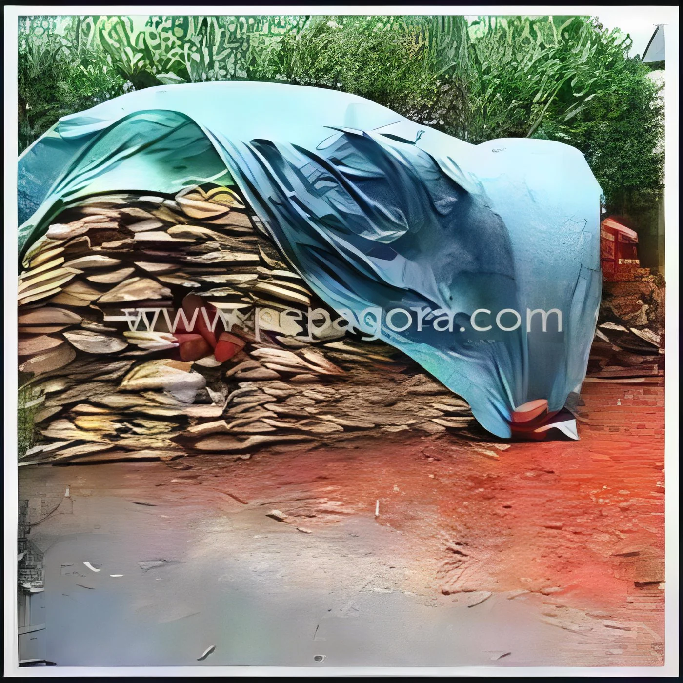 resizeImages/MTM2OTc=/mediabank/images/products/MultipurposeHDPETarpaulin1338977387_13697.webp
