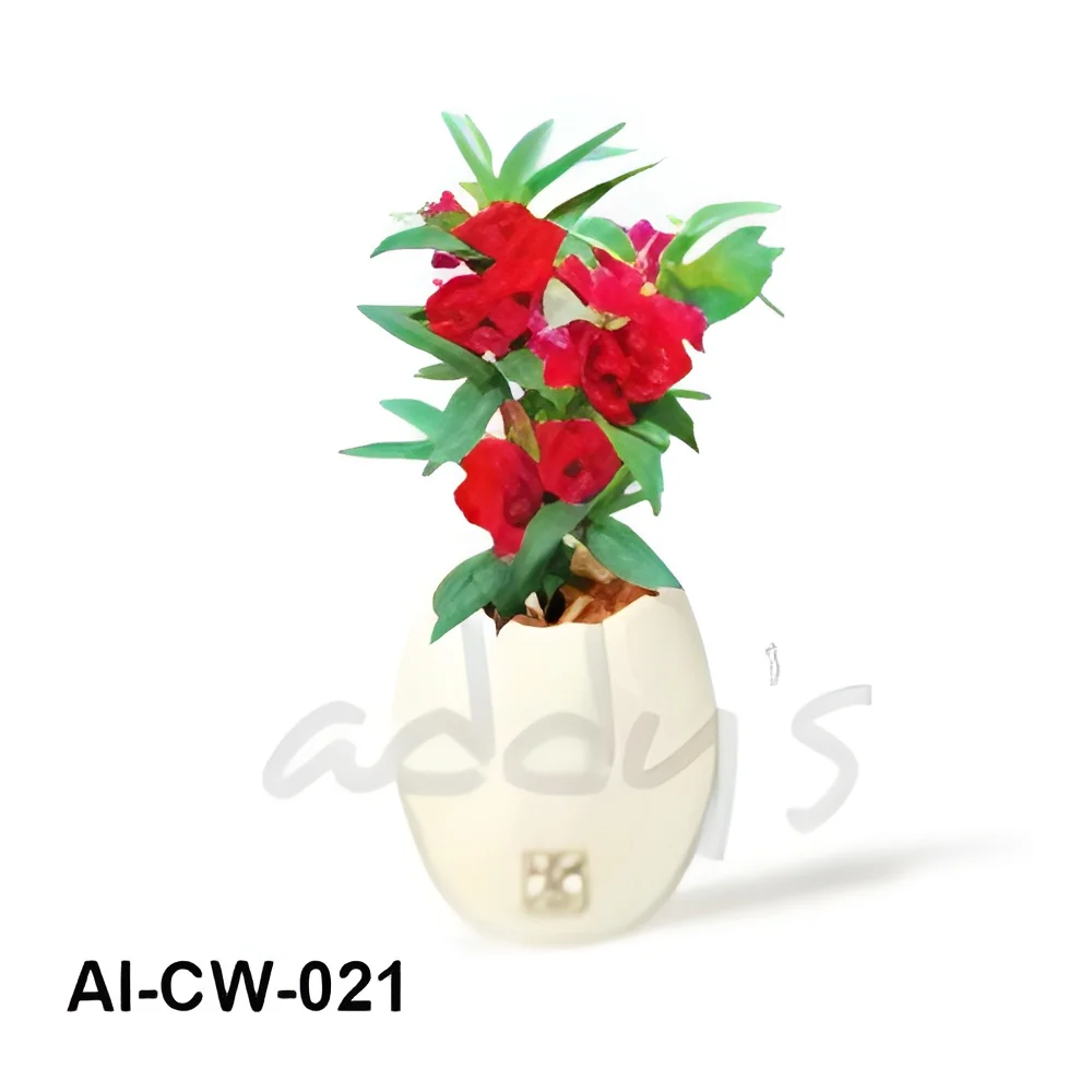 product-image-1