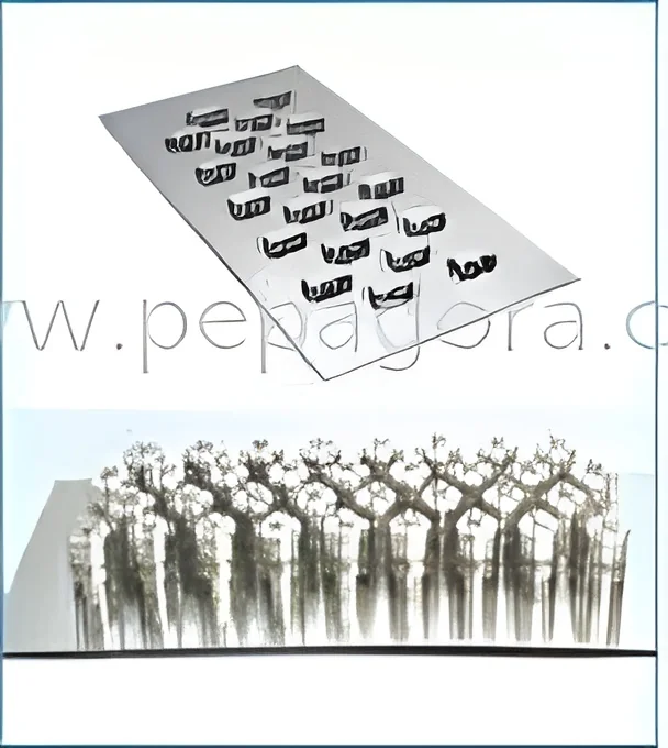 resizeImages/MTMwODE=/mediabank/images/products/BubbleCapFloatValveTray2107408022_13081.webp