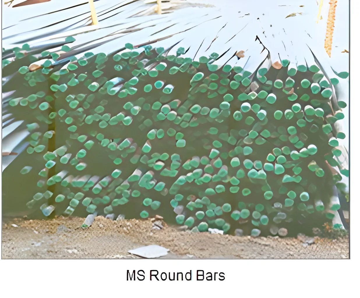 product-image-1