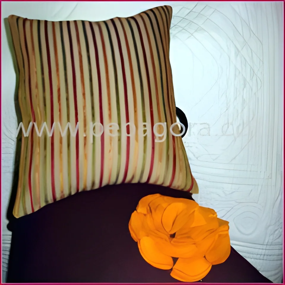 resizeImages/MTQ1NjI=/mediabank/images/products/EmbroideredCushionCovers175705529_14562.webp