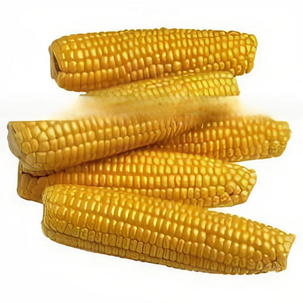 resizeImages/MTQzNjY=/mediabank/images/products/YellowMaize1262586233_14366.webp