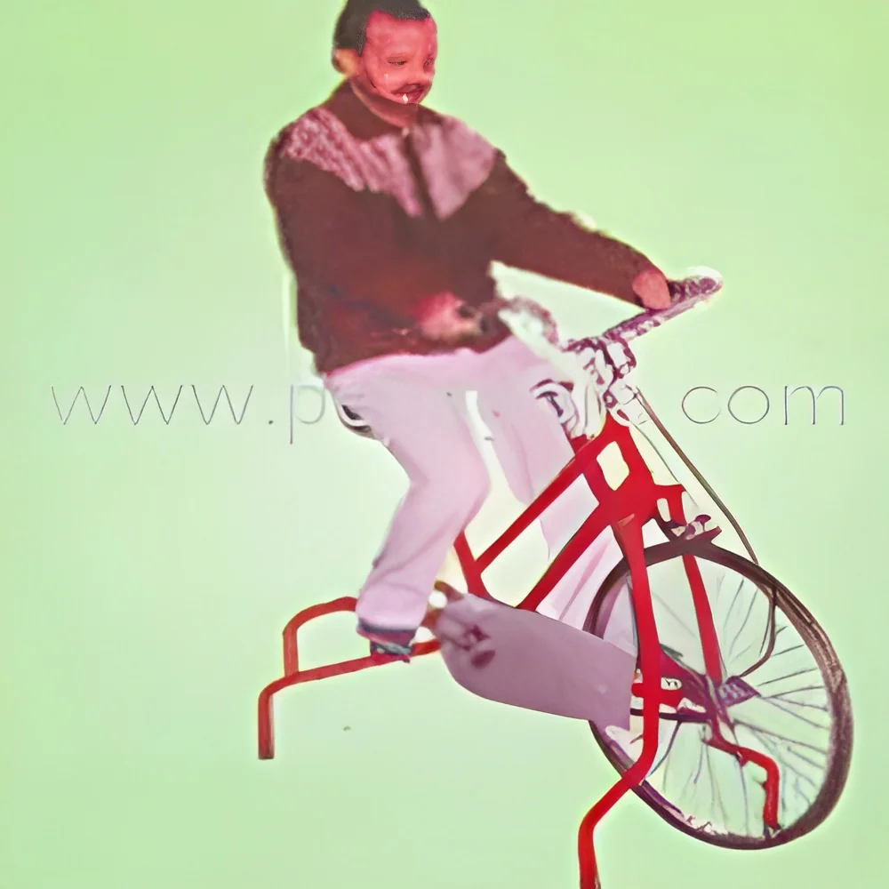 product-image-1