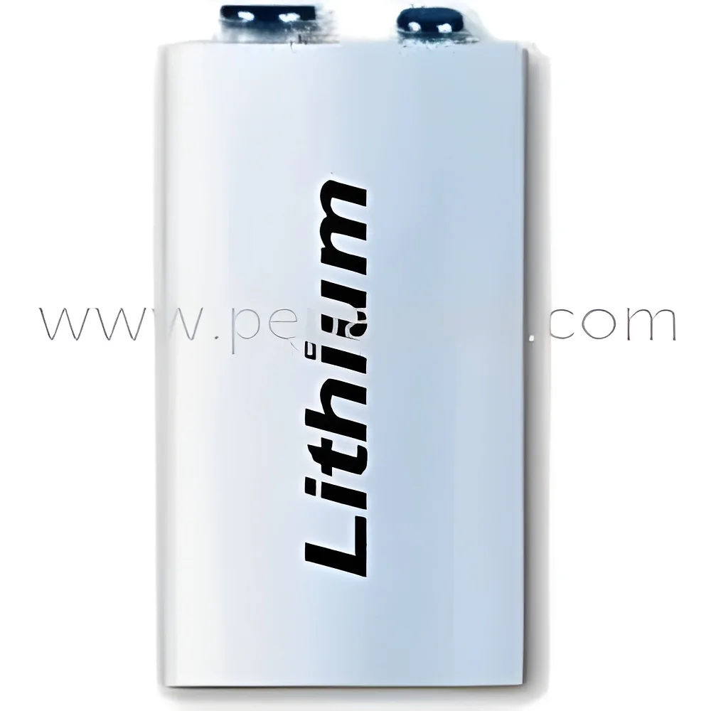 resizeImages/MTU1MTY=/mediabank/images/products/LethiamBattery438172697_15516.webp