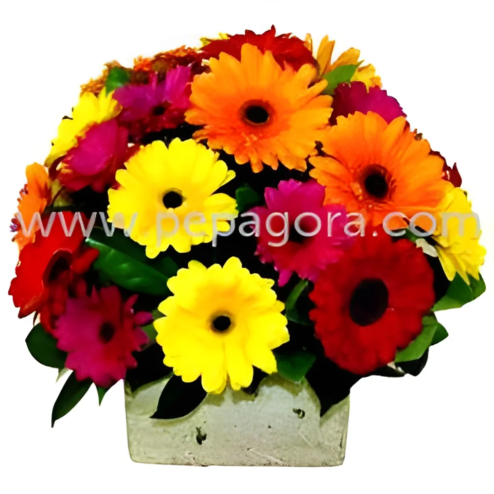 product-image-1