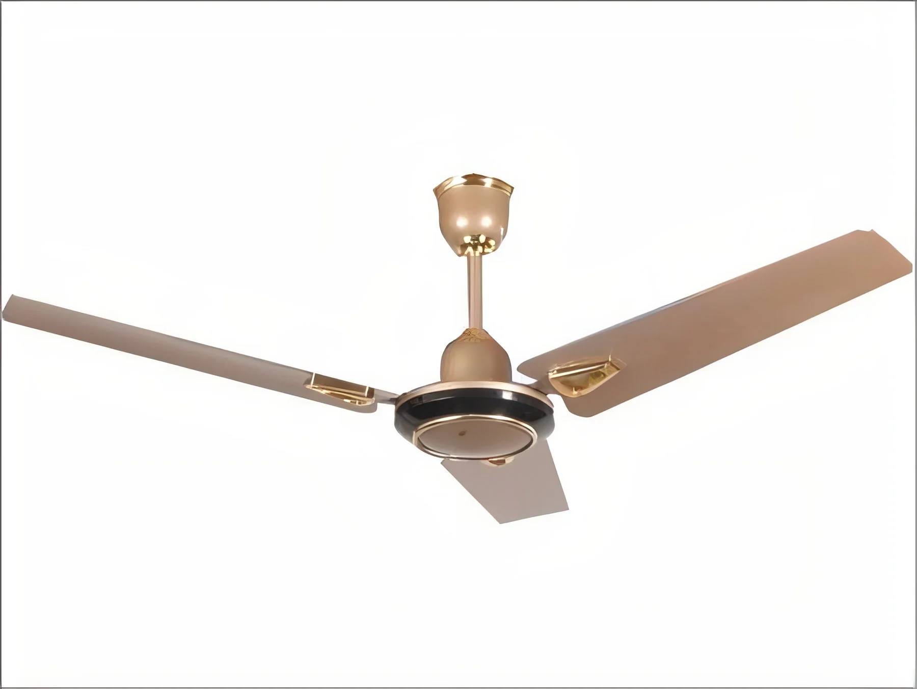 resizeImages/MTU5NTI=/mediabank/images/products/MultipurposeElectricFans602831669_15952.webp