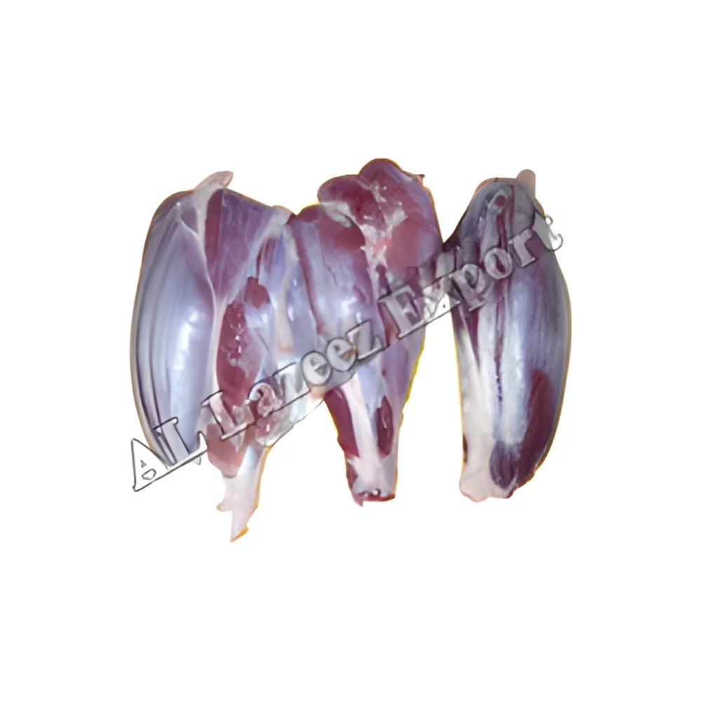 product-image-1
