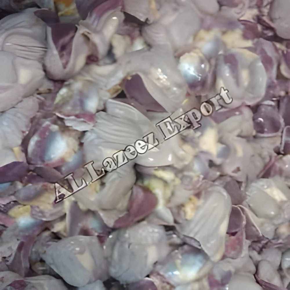 resizeImages/MTUyNg==/mediabank/images/products/chicken-gizzard-250x250.webp
