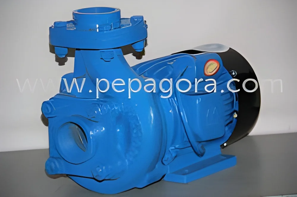resizeImages/MTY1MTU=/mediabank/images/products/MonoblockPump918261051_16515.webp