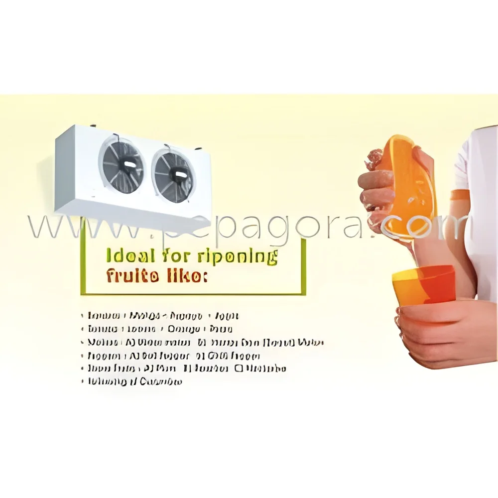 resizeImages/MTY2MDA=/mediabank/images/products/FruitRipeningMachine992738133_16600.webp