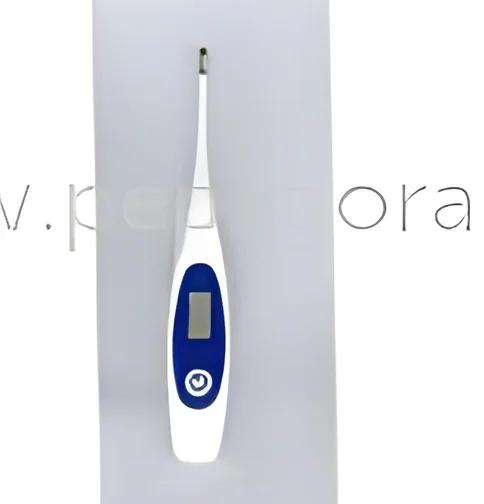 resizeImages/MTY2Mjc=/mediabank/images/products/DigitalBasalThermometer722270110_16627.webp