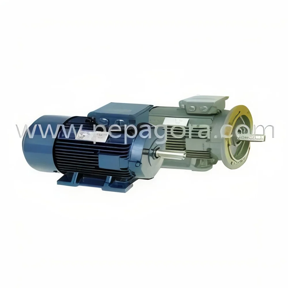 resizeImages/MTY3MjY=/mediabank/images/products/ElectricMotors1660842563_16726.webp