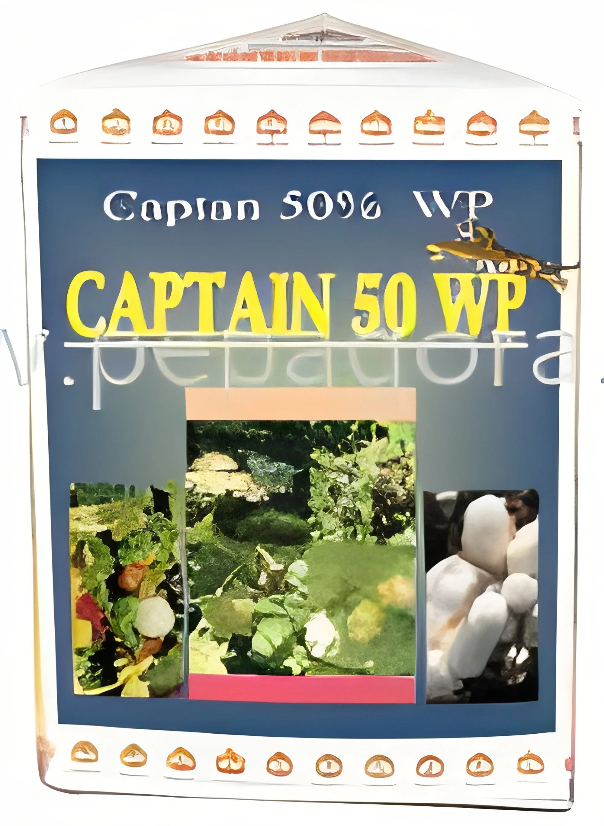 resizeImages/MTY5MzU=/mediabank/images/products/Captan1529023263_16935.webp