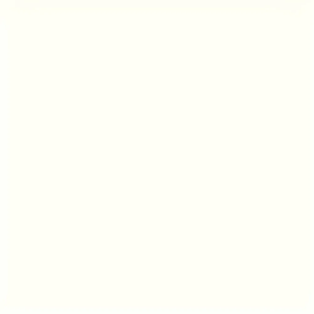 resizeImages/MTYwMTU=/mediabank/images/products/WhiteVitrifiedTiles913914829_16015.webp