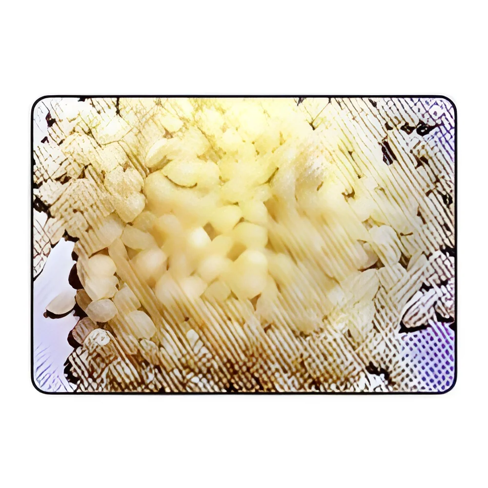 resizeImages/MTYxMzM=/mediabank/images/products/HotMeltAdhesives374346731_16133.webp