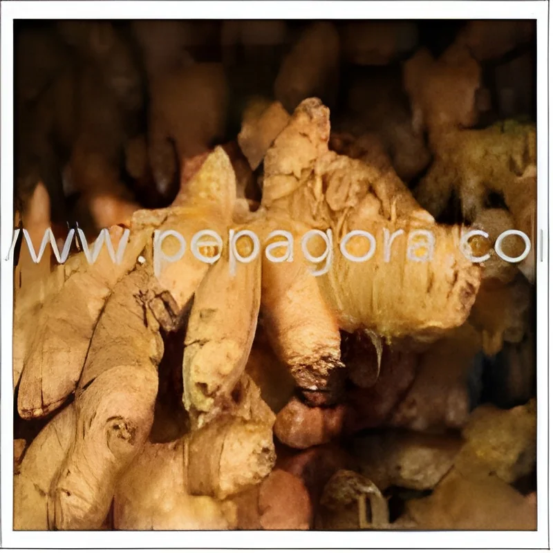resizeImages/MTYxNDE=/mediabank/images/products/RawGinger923587512_16141.webp