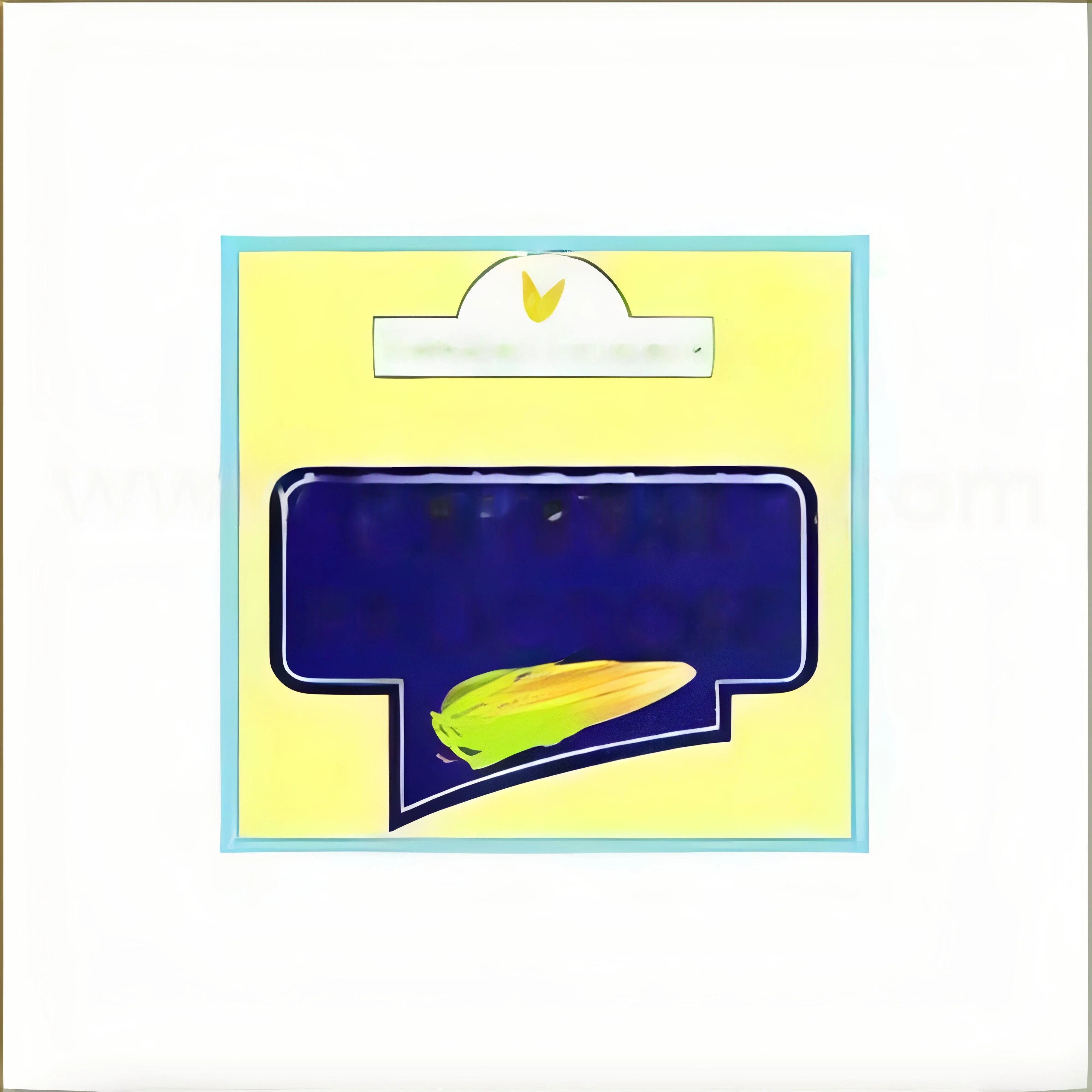 product-image-1