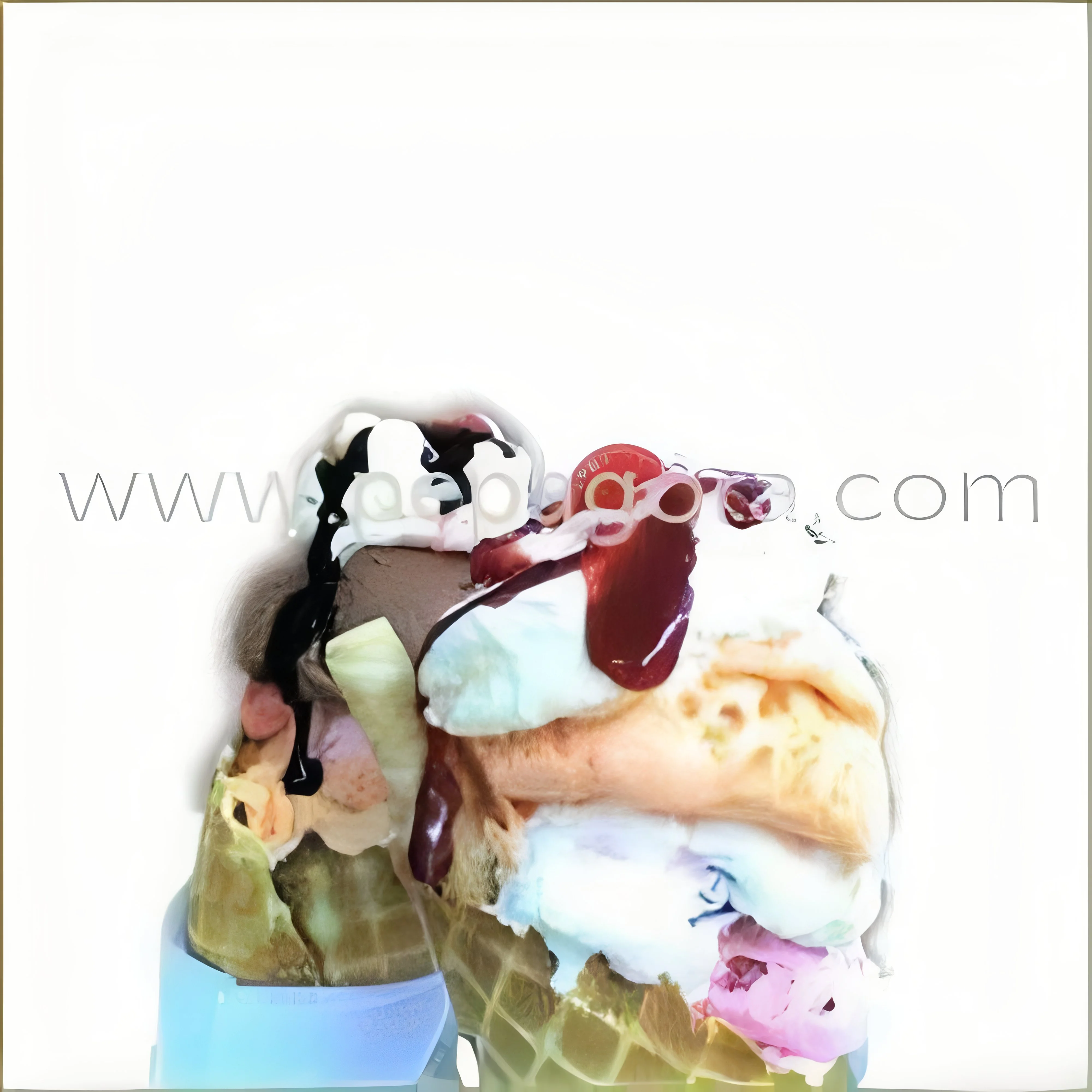 resizeImages/MTYxNzg=/mediabank/images/products/LiquidGlucose1718469213_16178.webp