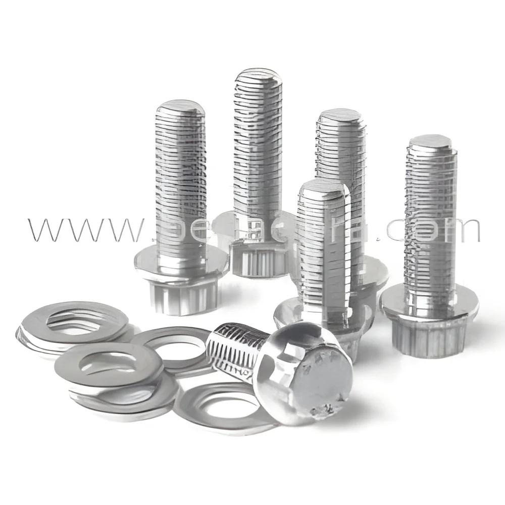 resizeImages/MTYyNjE=/mediabank/images/products/StainlessSteelFastener122352706_16261.webp