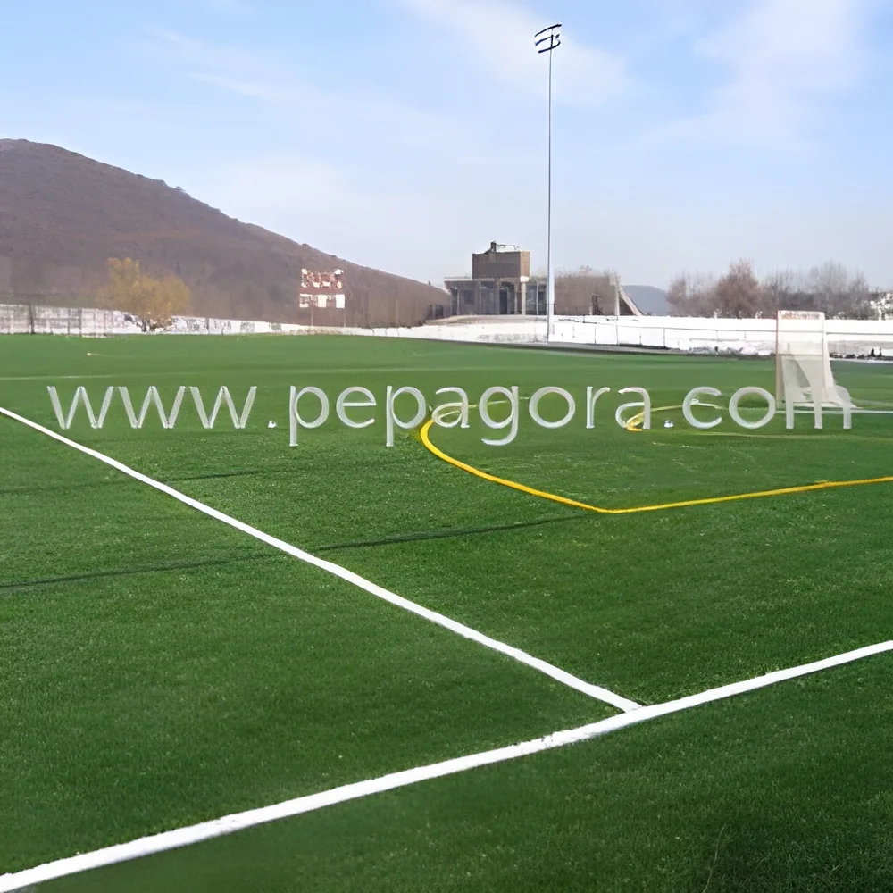 resizeImages/MTYzNjA=/mediabank/images/products/ArtificialGrass2095687155_16360.webp