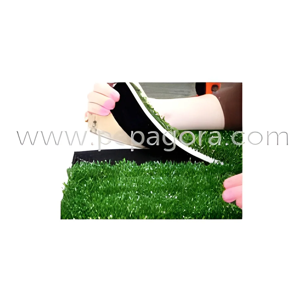 resizeImages/MTYzNjA=/mediabank/images/products/GrassSamples405215590_16360.webp