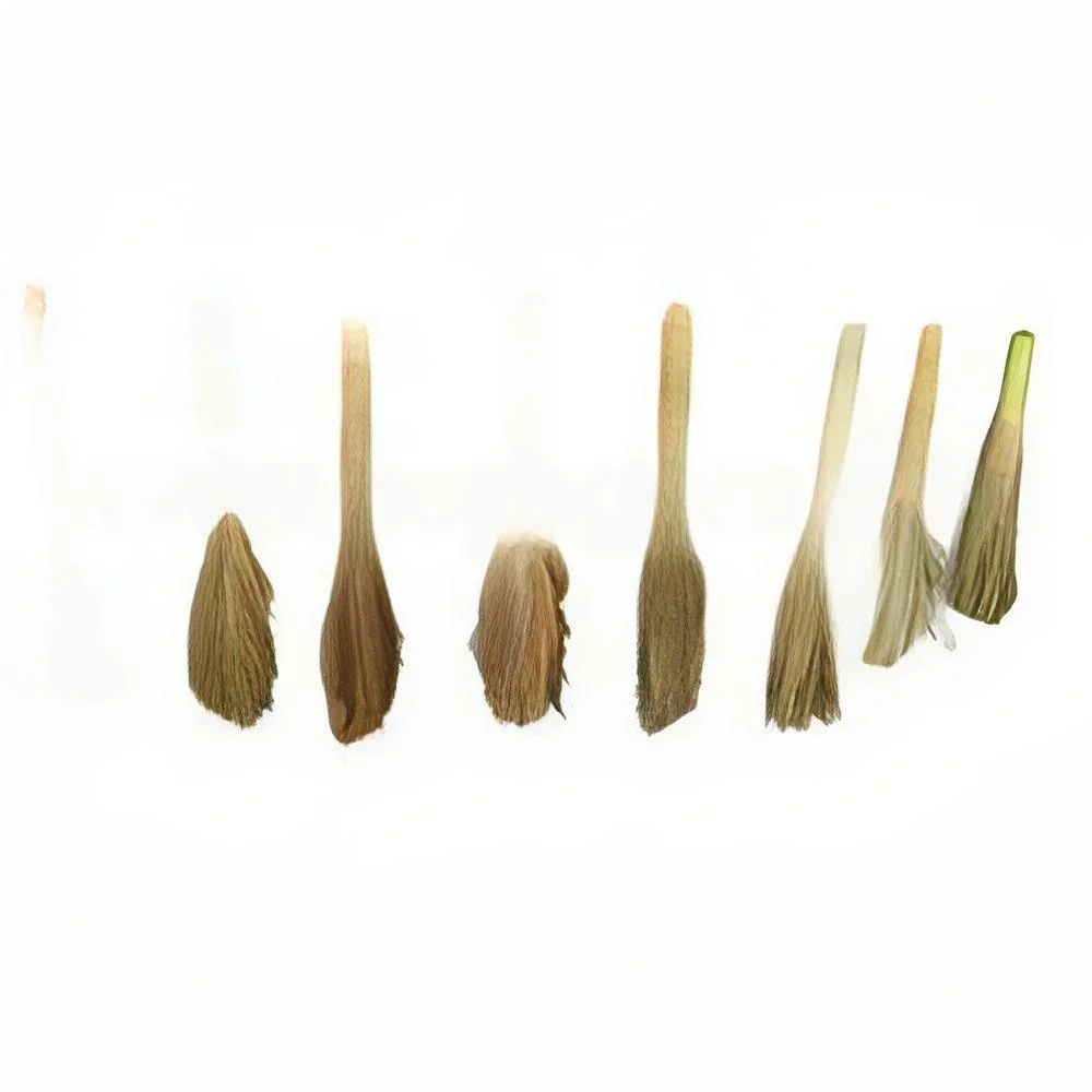 resizeImages/MTc0NTM=/mediabank/images/products/SoftBroom02294497000_17453.webp