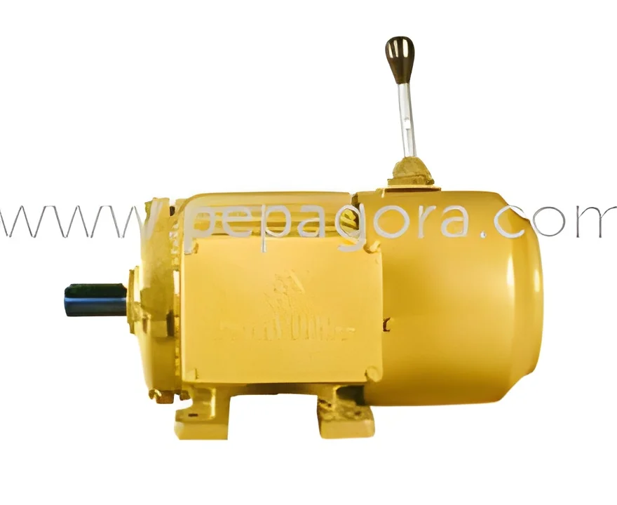 resizeImages/MTc0Njg=/mediabank/images/products/InductionMotor77932311_17468.webp