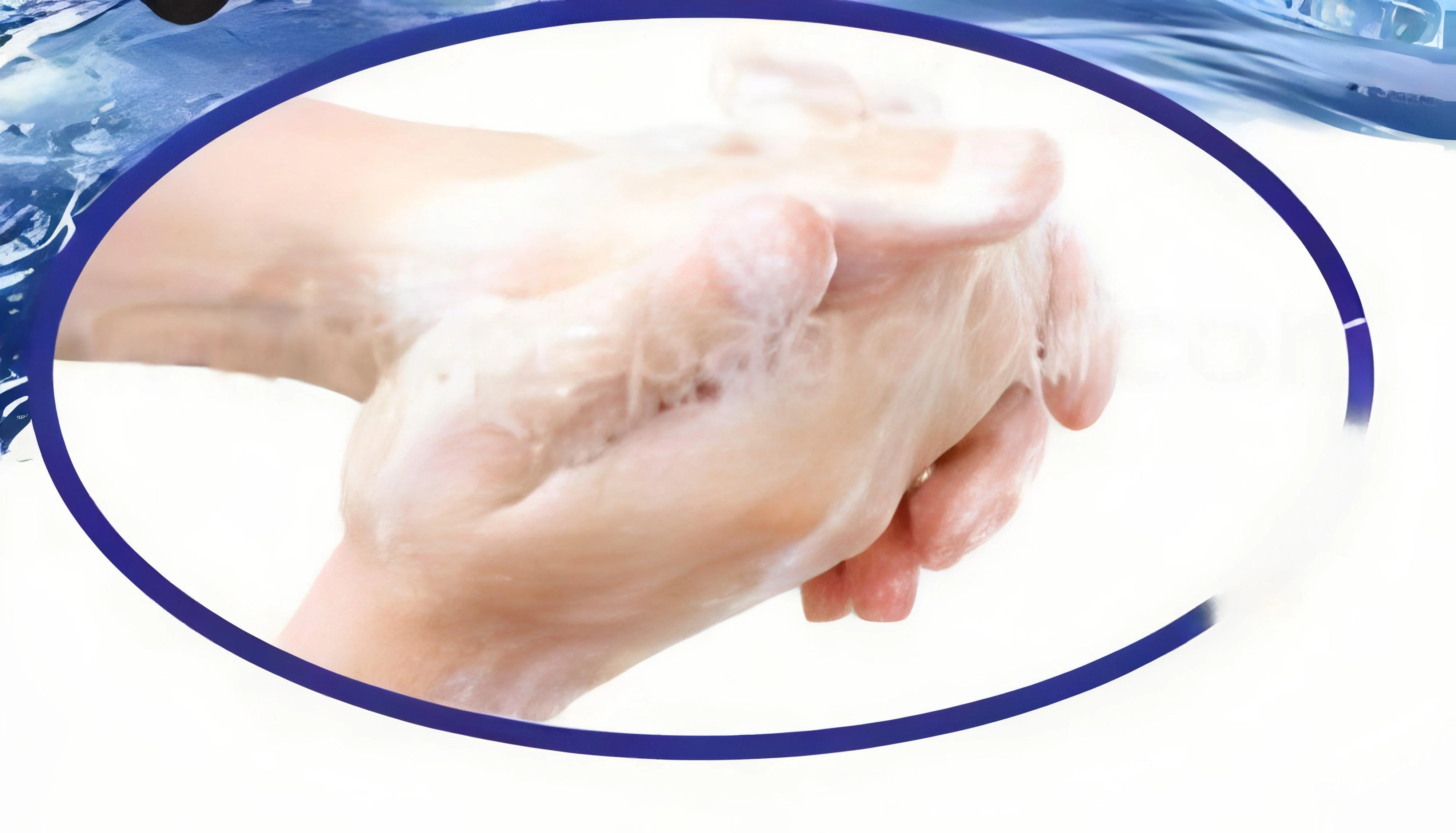 resizeImages/MTc3MTM=/mediabank/images/products/Anti-BacterialLiquidHandWash566014621_17713.webp