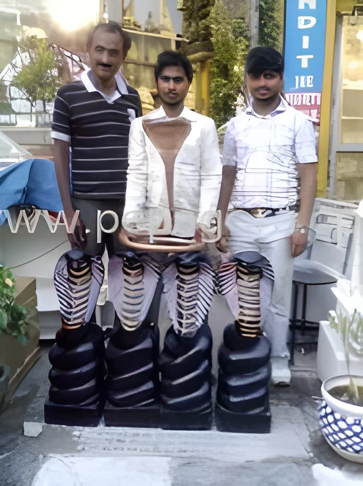 resizeImages/MTc4NzY=/mediabank/images/products/NaagDevta2034608084_17876.webp