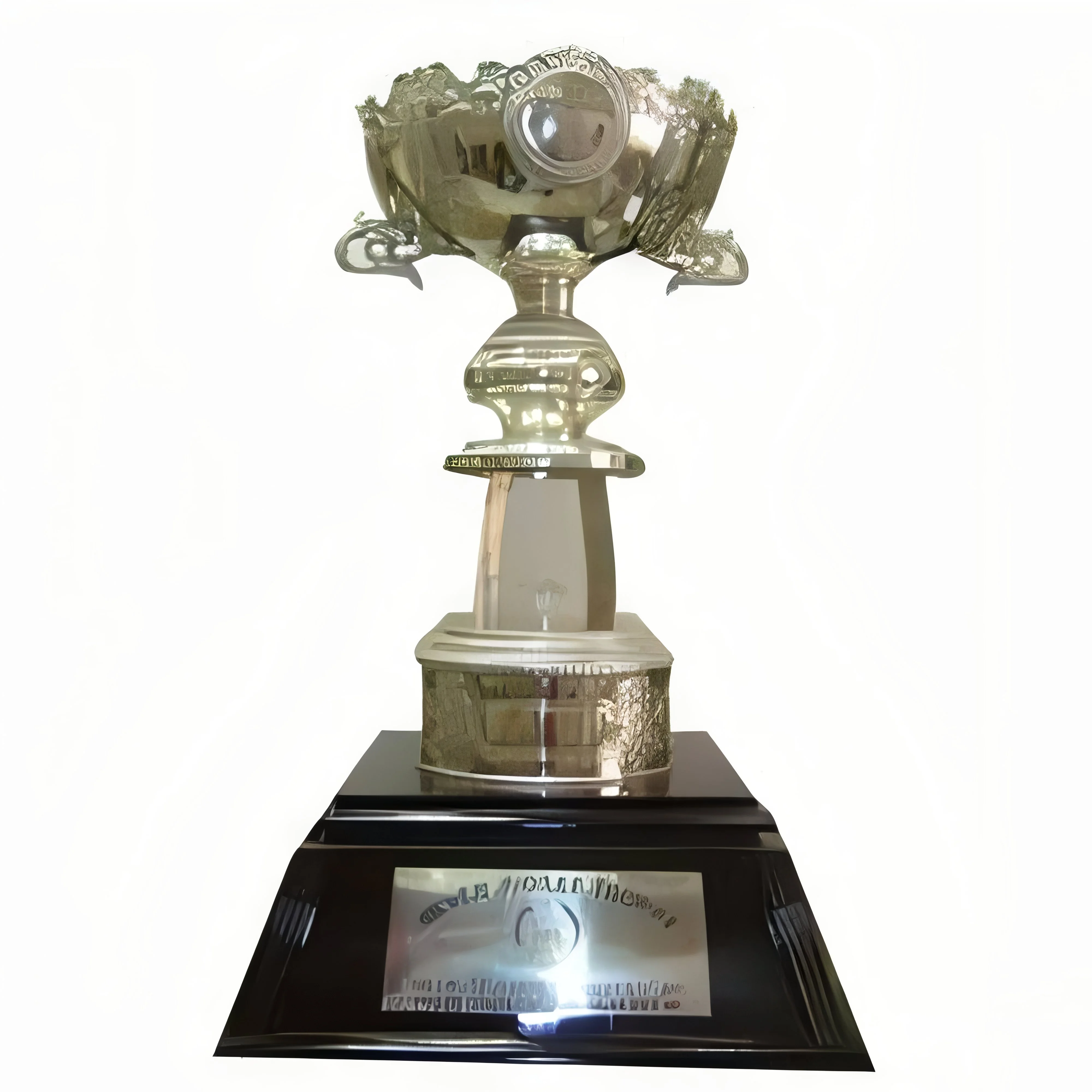 resizeImages/MTc5ODc=/mediabank/images/products/Trophy1741908395_17987.webp