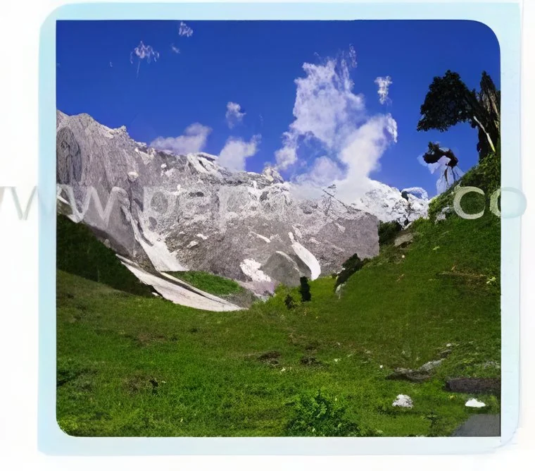 product-image-1