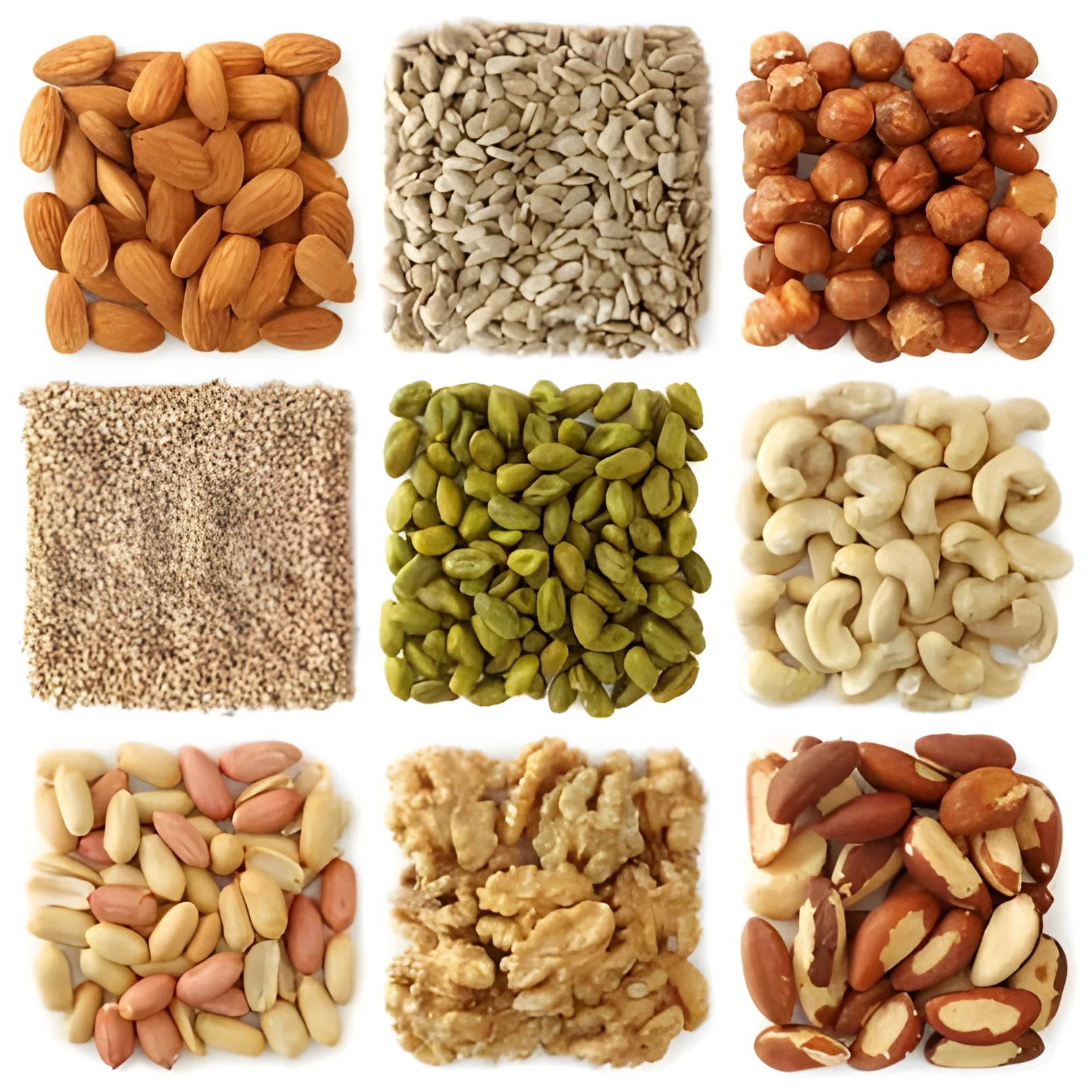 resizeImages/MTcxOTQ=/mediabank/images/products/OilSeeds917432419_17194.webp