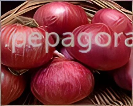 resizeImages/MTcyMjg=/mediabank/images/products/Onions192791754_17228.webp