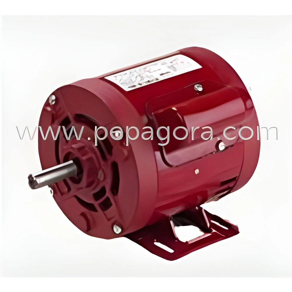 resizeImages/MTg0MjQ=/mediabank/images/products/ACThreePhaseElectricMotors521705834_18424.webp