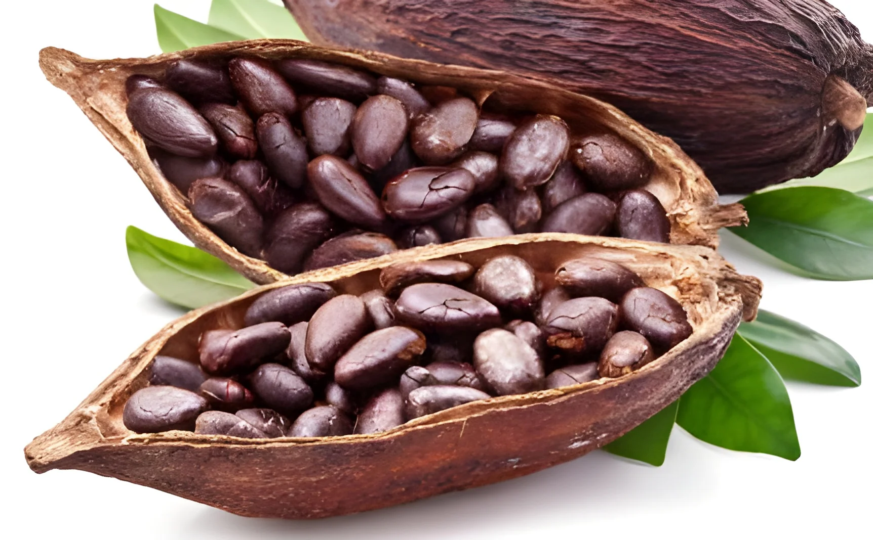 resizeImages/MTg5MQ==/mediabank/images/products/CocoaBeans247053972_1891.webp