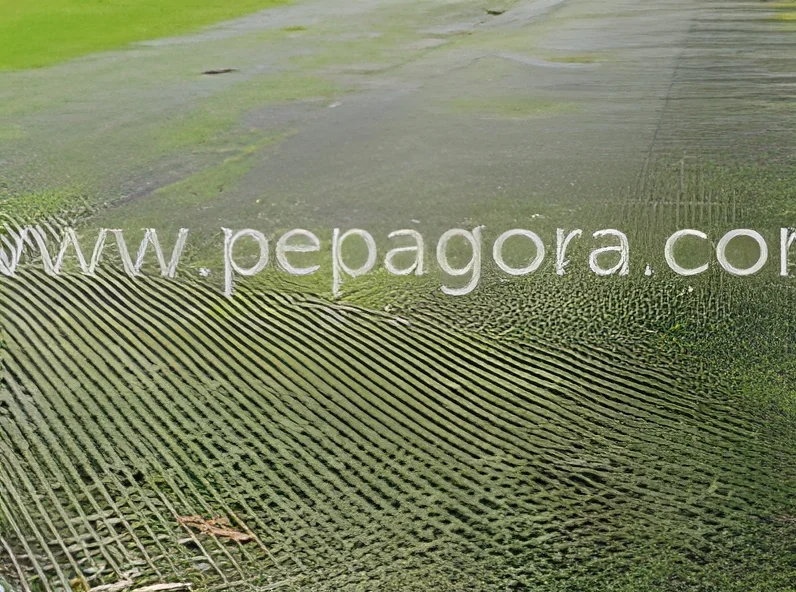 resizeImages/MTgwNDg=/mediabank/images/products/TurfProtectionNet333883114_18048.webp