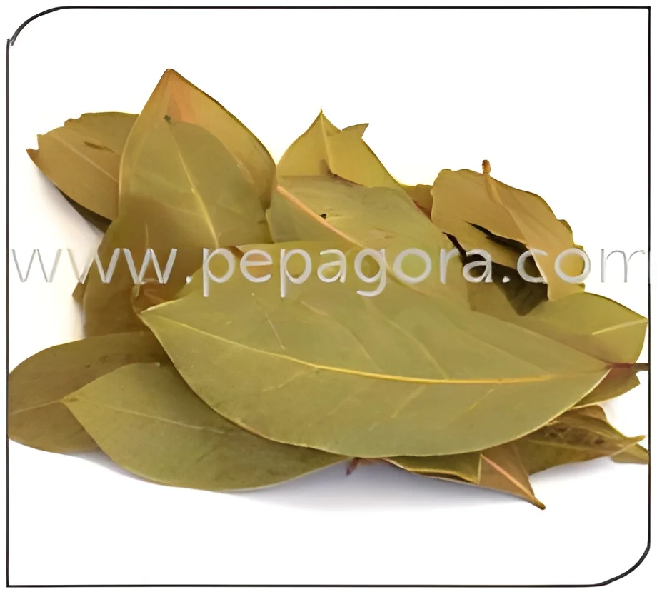 resizeImages/MTgwNjU=/mediabank/images/products/Tejpatta820307750_18065.webp