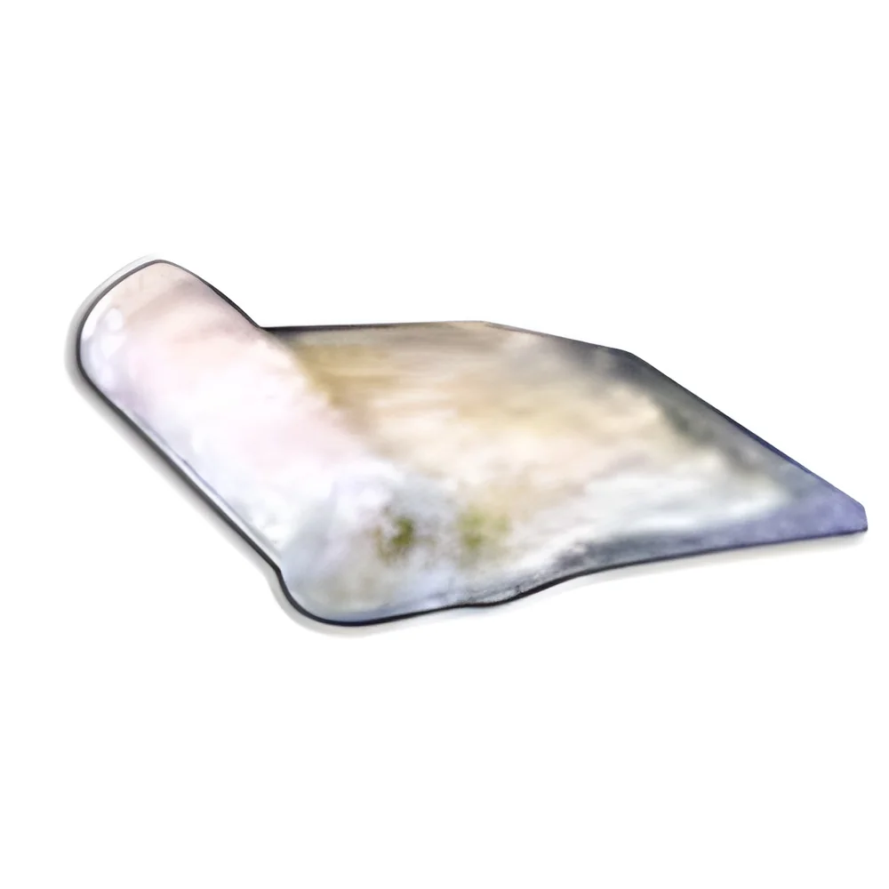 resizeImages/MTgxNg==/mediabank/images/products/MoistFelt1923160831_1816.webp