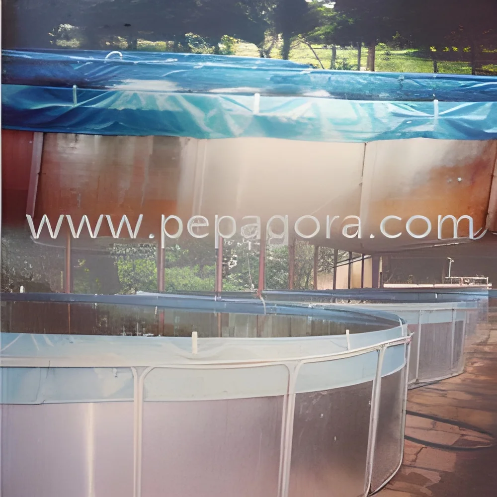 resizeImages/MTgxOTQ=/mediabank/images/products/NurseryRearingSystems1237910676_18194.webp