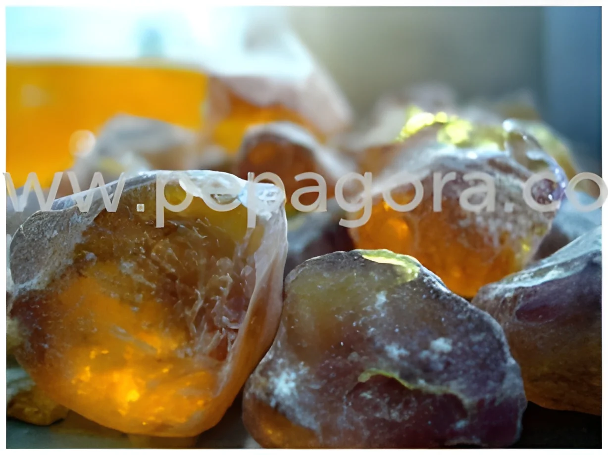 product-image-1
