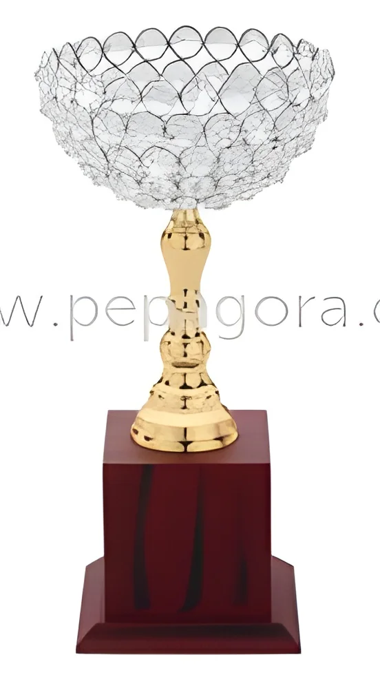 resizeImages/MTgyNjc=/mediabank/images/products/DiamondTrophy128221724_18267.webp