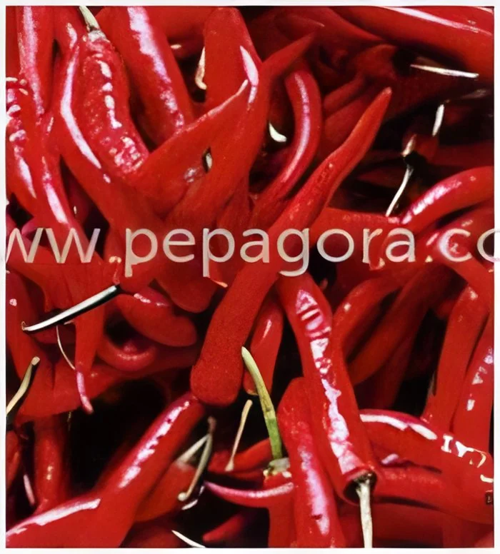 resizeImages/MTgzNjU=/mediabank/images/products/Spices1615912979_18365.webp