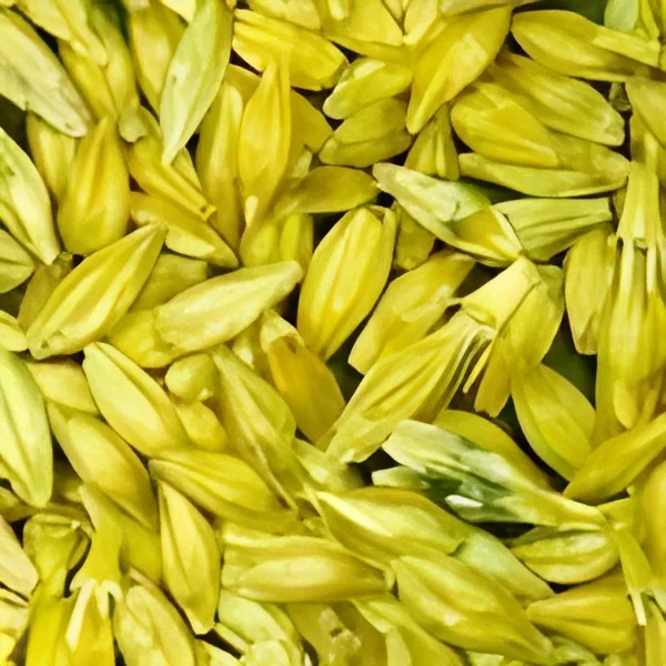 resizeImages/MTk5Mg==/mediabank/images/products/Barley1023052118_1992.webp