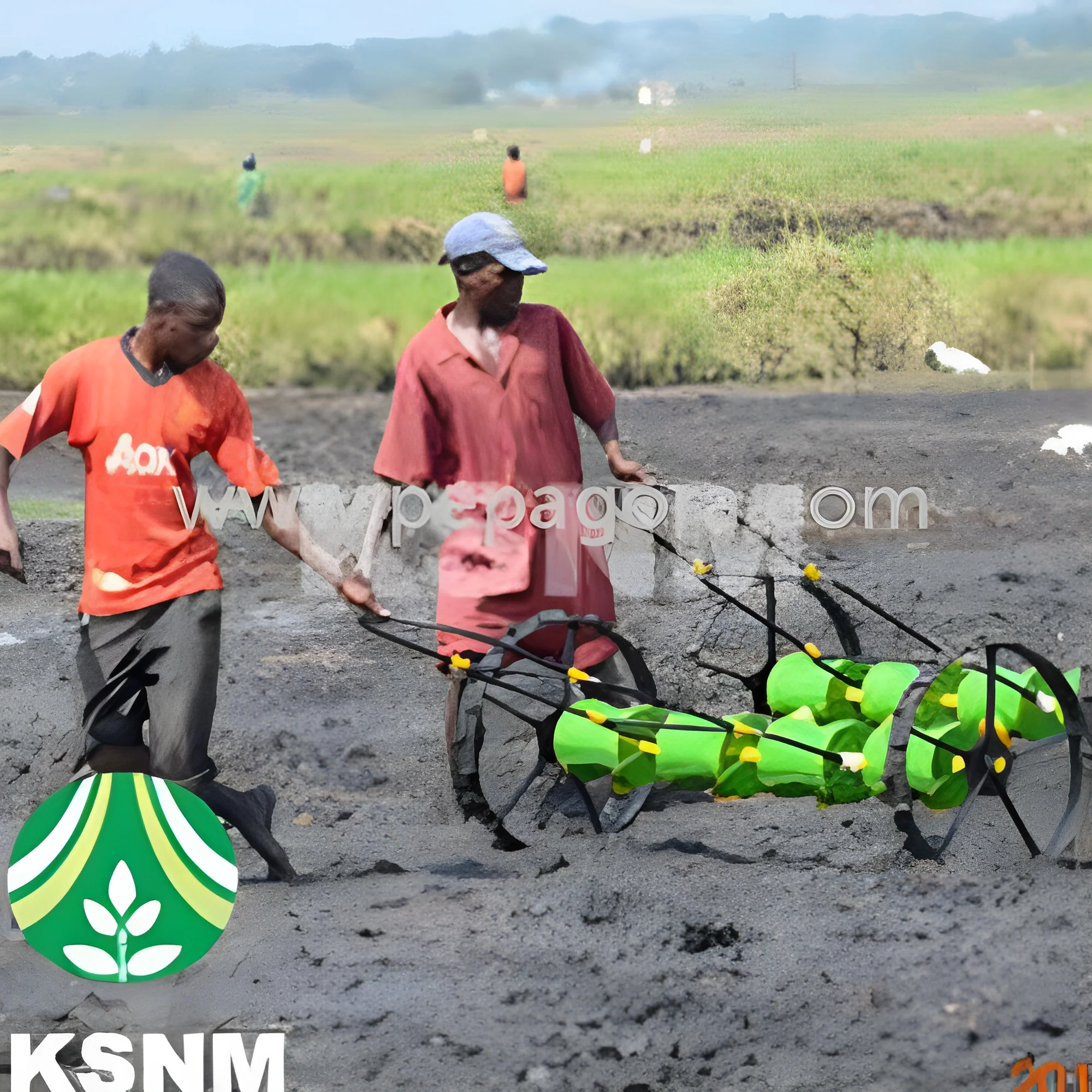resizeImages/MjA1MDg5/mediabank/images/products/DirectPaddySeederMachine357844074_205089.webp